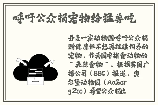 国产综合亚洲一区二区三区