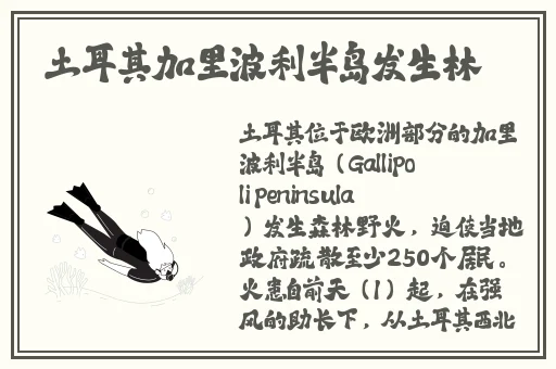黑龙江科技大学监控